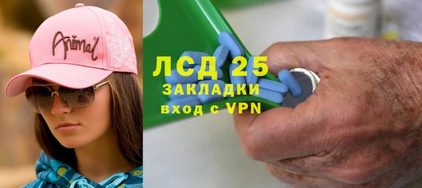 прущие грибы Арсеньев