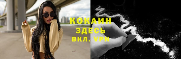 прущие грибы Арсеньев