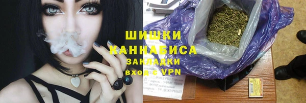 прущие грибы Арсеньев