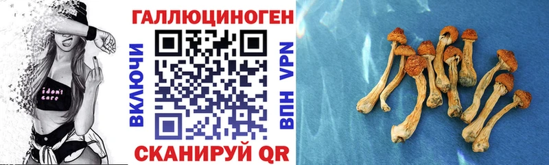 mega маркетплейс  Ступино  Галлюциногенные грибы GOLDEN TEACHER 